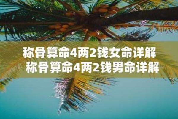 命1和命4：解读命理背后的深意与人生启示