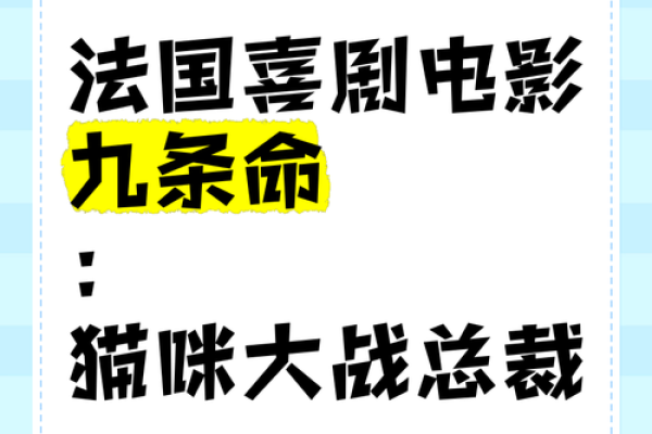 猫的九条命：探秘这神秘传说的来源与意义