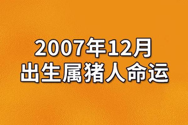 农历九一十二的命理解析：探索命运的奥秘与人生的方向