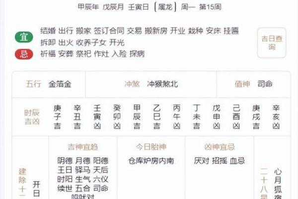 2024年鼠宝宝命理解析：了解2024年新生儿的性格与命运