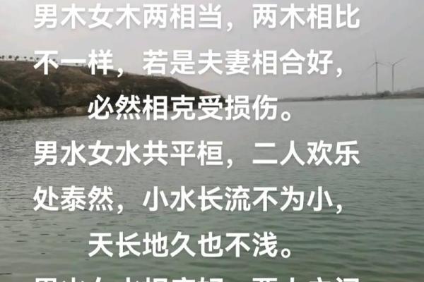 炉中火与大海水：命理深度解析，揭示人生奥秘