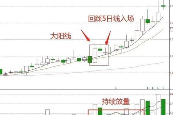 男命五两命解析：揭秘五两命运的玄机与人生路径