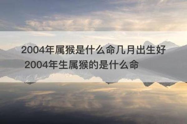 木命人适合找什么命的人，提升缘分与幸福的指南