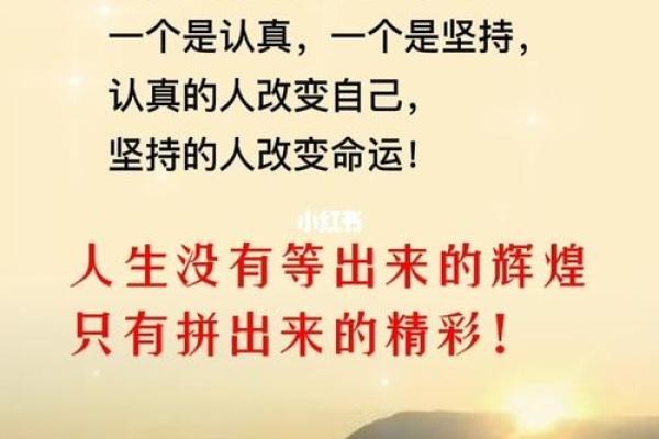 九七年五月出生的命运解析：探寻人生的光辉与挑战