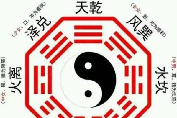 命主胎生元命：命理中的深层次解析与启示