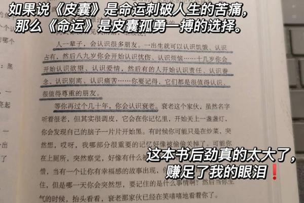 解码命态：了解你的命运之书，掌握人生方向