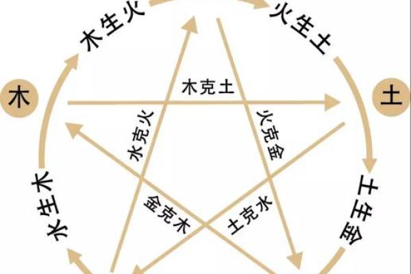 了解木命格：寻找命理中的完美伴侣与合作伙伴