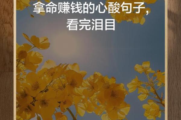 “拿命还”深意解析：理解生命的珍贵与责任