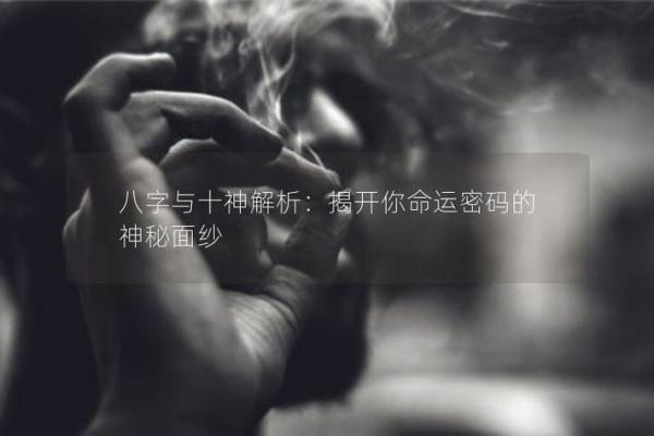 揭开女命4.1的神秘面纱：命理与人生的深邃解读