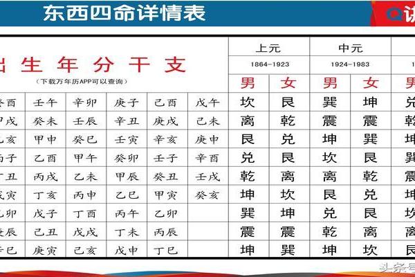 离命东四命适合的颜色与风水搭配指南