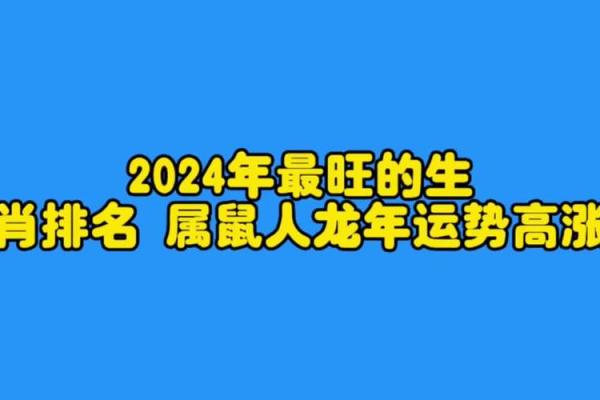 2024年是什么年？探索2020年属鼠的命运与运势