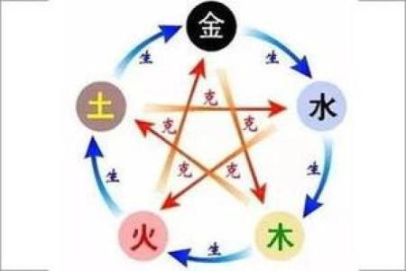 历史名人的命理分析：从五行看他们的成功轨迹