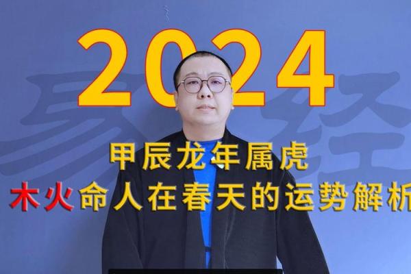 龙年木命的适合字：探寻生命中的力量与智慧