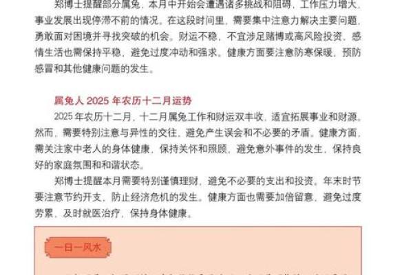 明年兔兔的命运解析：2024年兔年运势与生活指南