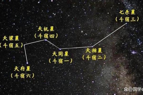 巨门星天机入命，命理中的玄机与应对策略