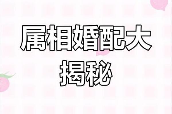 炉中火命和什么命最配？探讨最佳婚配组合与幸福生活！