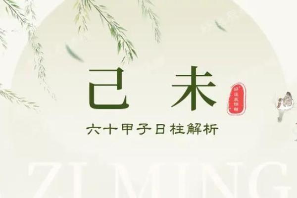 男命日柱解析：探秘命理中的阴阳与命运交织