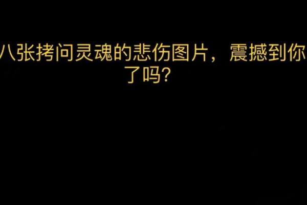 看命术：解锁你的未来，探索人生百态！