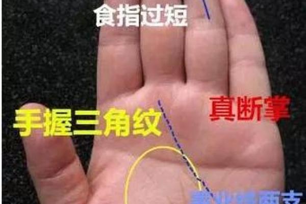 六个手指的命格解析：你与众不同的命运之路