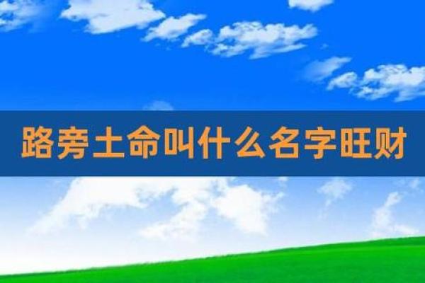 路旁土与命运的奇妙关系：你不知道的秘密