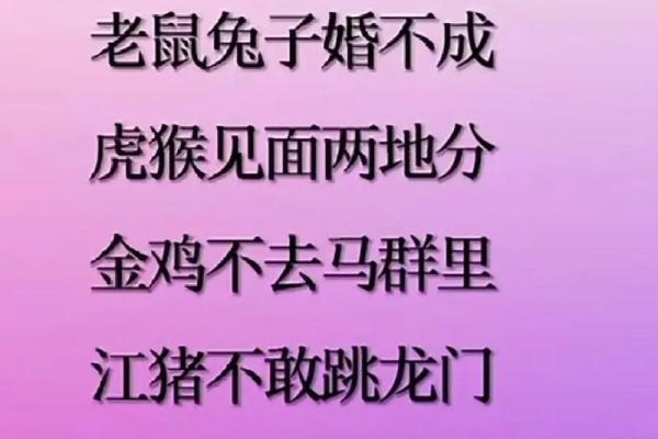 老鼠与兔子的情缘：不成婚的命运解析