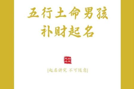 木命与土命：选择合适的生意机会，共创辉煌未来