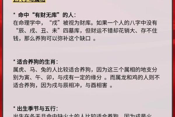 六年狗八年鸡：揭示命理背后的秘密与智慧