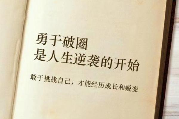 命中无正官，人生轨迹的不同选择与挑战