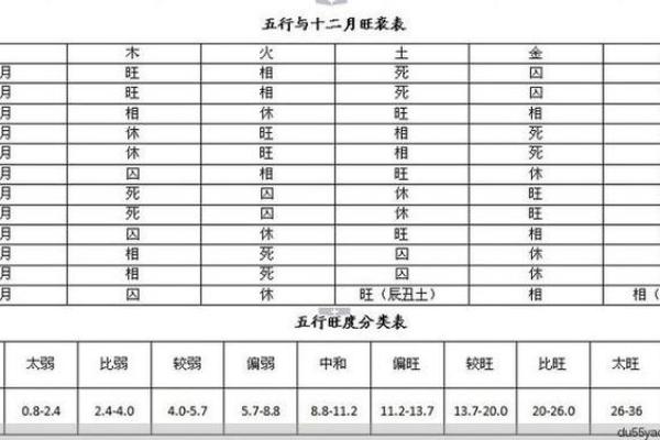 免费查自己命格属什么五行，揭秘你的命运与五行特征