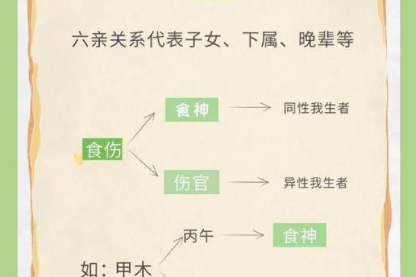 男命中的伤官解析：深藏智慧与挑战的命理之旅