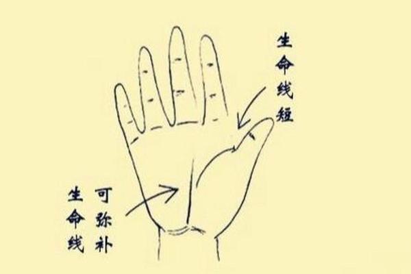 生命短暂的征兆：如何识别与应对？