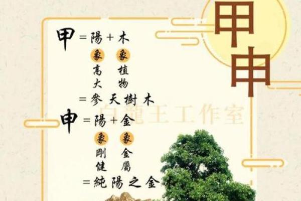 揭秘木命人的命运与个性：从属相看人生轨迹