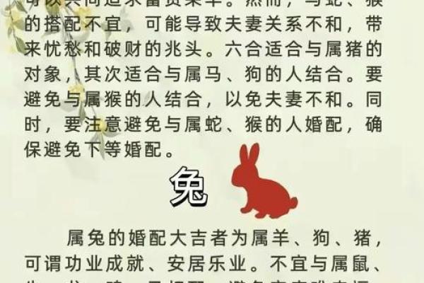 探究属虎夫妻的婚姻命理：携手共创幸福之路