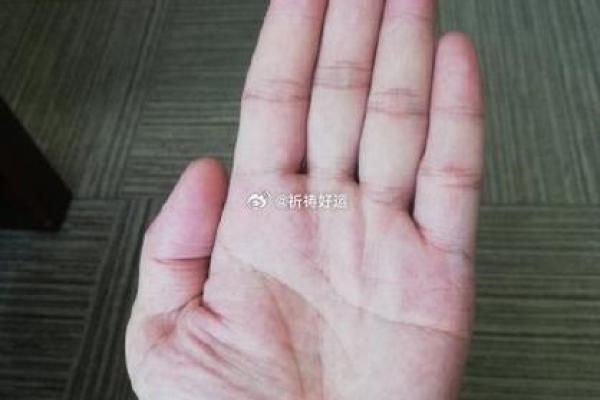 手相揭秘：双妻命的奥秘与启示