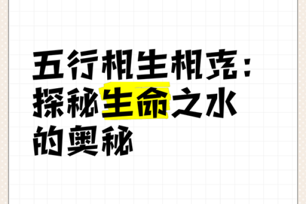 葵水命与其他命理的完美结合：寻找生命的平衡与和谐