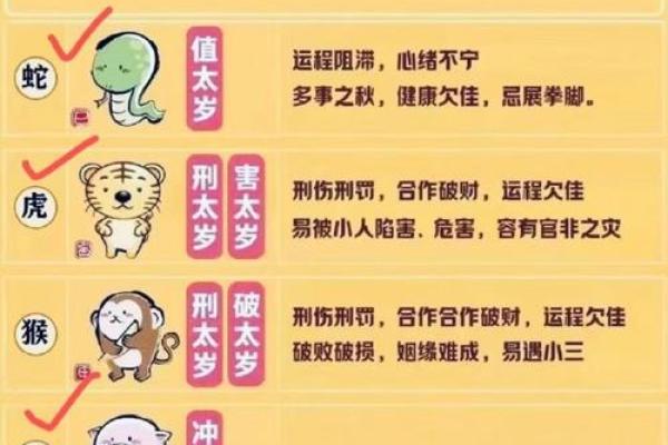 男命三申冲一寅：命理中的深层次启示与解读