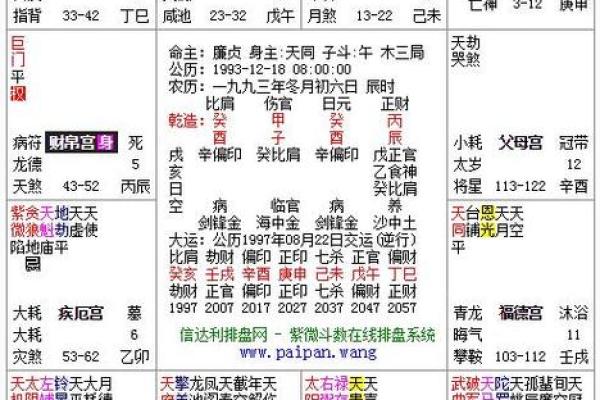 廉贞贪狼落命：命理中的细腻解析与启示