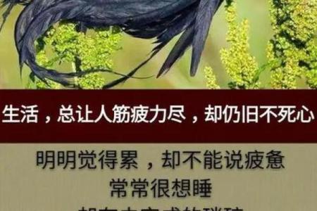 累得半条命了，揭示现代生活的无奈与坚持