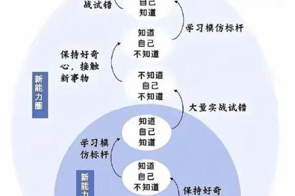 命硬与本命强的区别：揭开命运与个性的神秘面纱