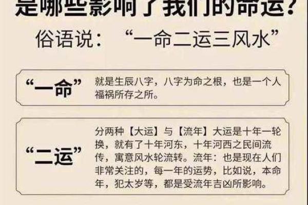 从女人身上看命运：体毛浓密与命运的关系解析