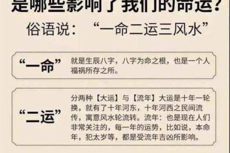 从女人身上看命运：体毛浓密与命运的关系解析