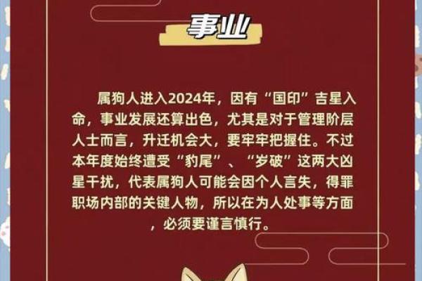 2024年属狗人的命运与运势解析：如何把握机遇与挑战