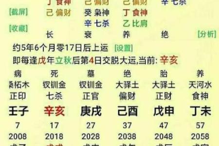 农历3月9号出生的人命格分析：揭开命运的神秘面纱