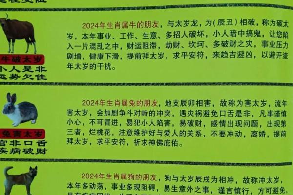 2024年出生宝宝命运解析：爱与机遇的象征