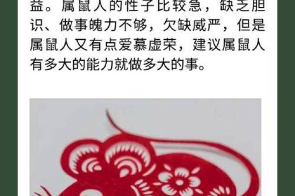 揭开老鼠五行属性的神秘面纱：属鼠的命运解析