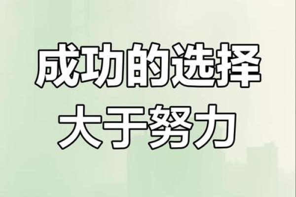 命已不是命：探讨生命的意义与选择的力量