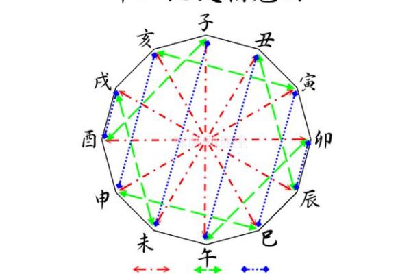 龙年命理解析：黑龙命与其他命格的神秘世界