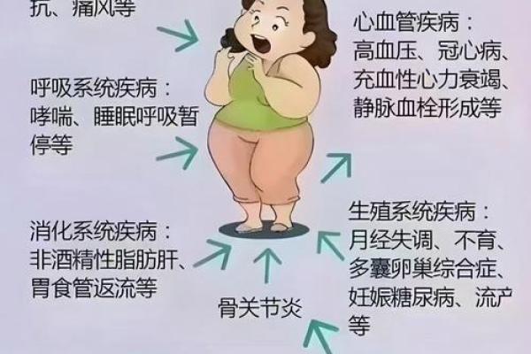 脸瘦身上胖：探讨体型与命运之间的微妙关系