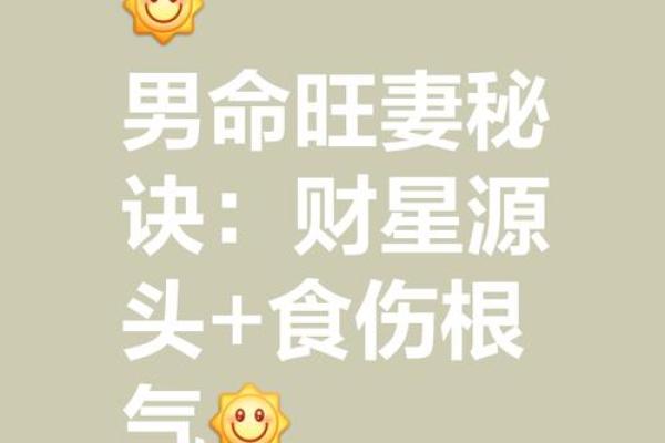 男命财星被冲的深层解析与应对策略