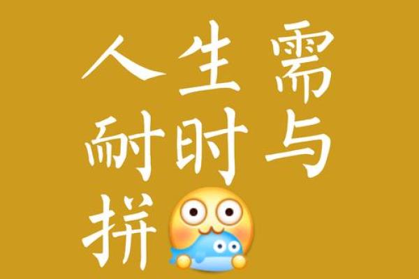 靠命养命：生活的哲理与人生启示